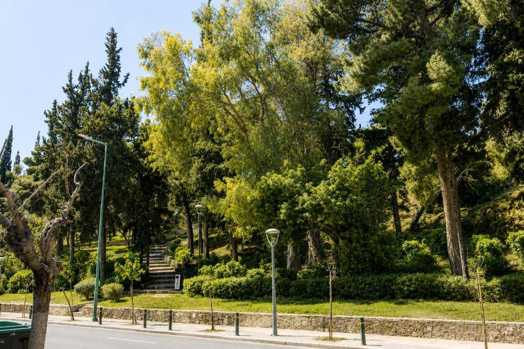 The tree-filled park directly opposite the loft, seen across a quiet Mets street